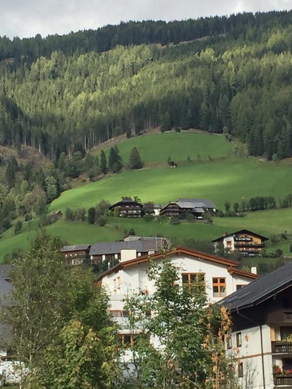 House Arianna Apartment Bad Kleinkirchheim Ruang foto